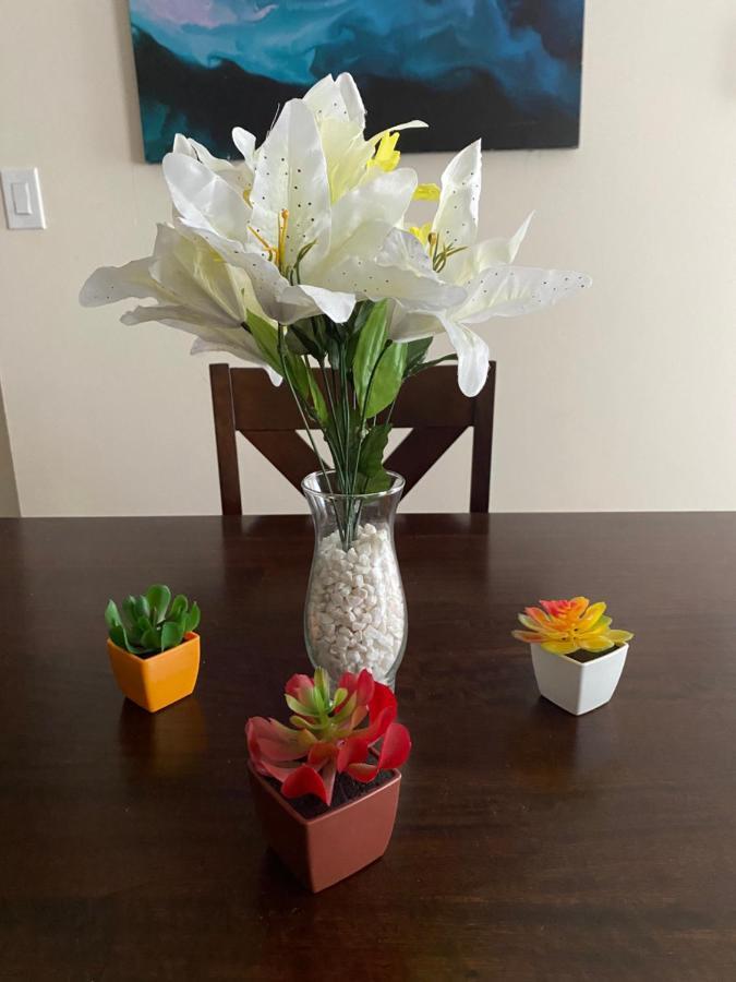 Private Room In South Philly Near Arenas! Philadelphia Ngoại thất bức ảnh